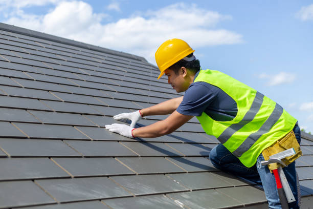 Best Roof Gutter Cleaning  in Janesville, WI